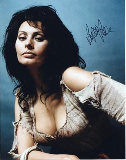 Sophia Loren autograph