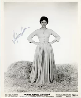Sophia Loren autograph