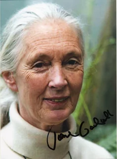 Jane Goodall autograph