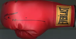 Robin Williams autograph