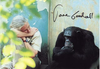 Jane Goodall autograph