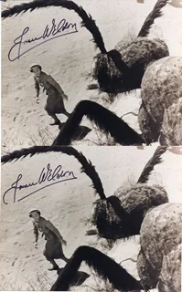 Joan Weldon autograph