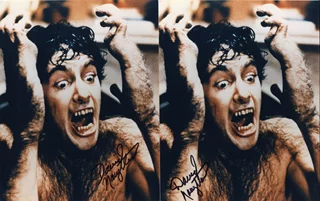 David Naughton autograph