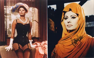 Sophia Loren autograph