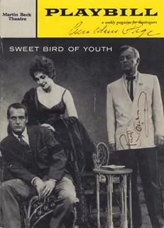 Paul Newman & Geraldine Page autograph