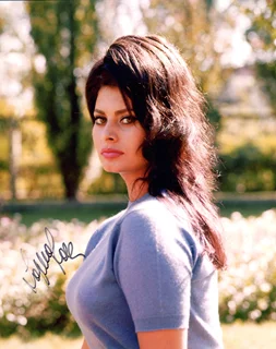 Sophia Loren autograph