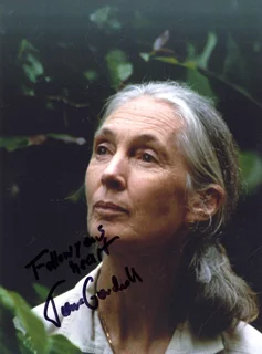 Jane Goodall autograph