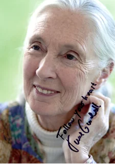 Jane Goodall autograph