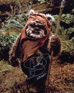 Warwick Davis autograph