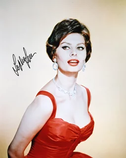 Sophia Loren autograph