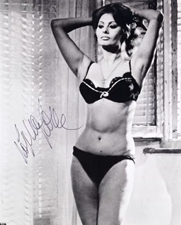 Sophia Loren autograph