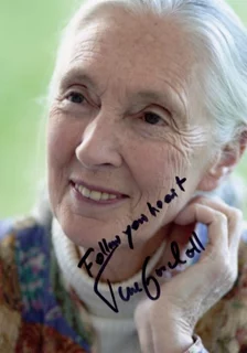 Jane Goodall autograph