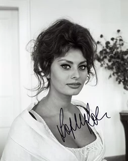 Sophia Loren autograph