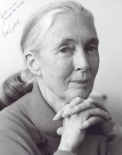Jane Goodall autograph