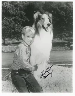 Jon Provost autograph
