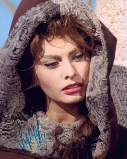 Sophia Loren autograph