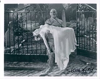 Elyse Knox autograph