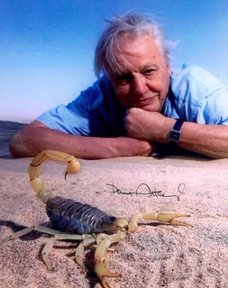 David Attenborough autograph