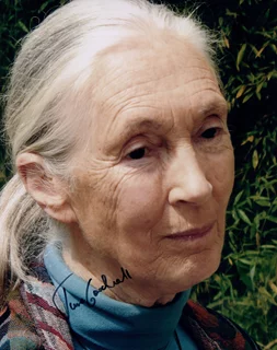 Jane Goodall autograph