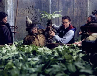 Miriam Margolyes autograph