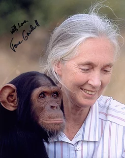Jane Goodall autograph