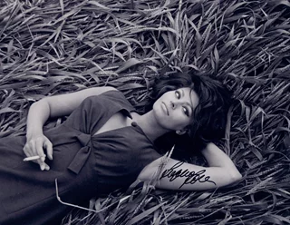 Sophia Loren autograph