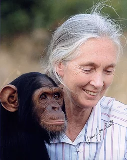 Jane Goodall autograph