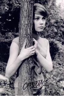 Catherine Deneuve autograph