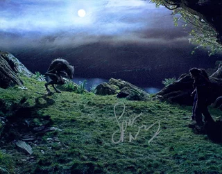 Spencer Wilding autograph