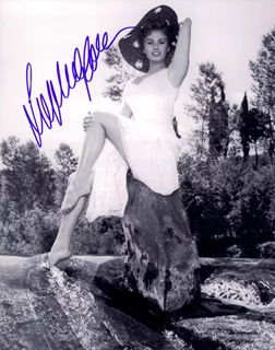Sophia Loren autograph
