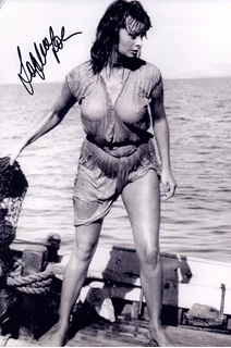 Sophia Loren autograph
