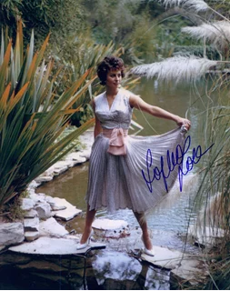 Sophia Loren autograph