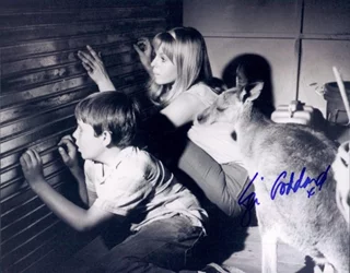 Liza Goddard autograph