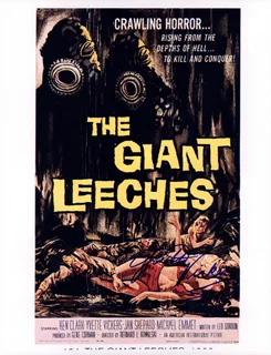 Yvette Vickers autograph