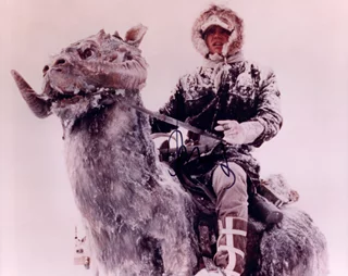 Harrison Ford autograph