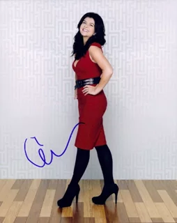 Casey Wilson autograph