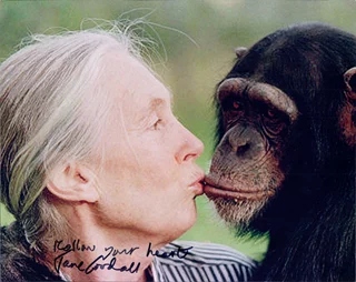 Jane Goodall autograph