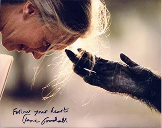 Jane Goodall autograph