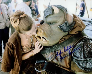 Stephen Costantino autograph