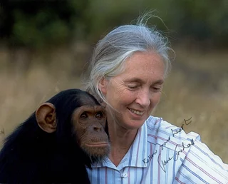 Jane Goodall autograph