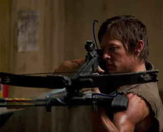 Norman Reedus autograph