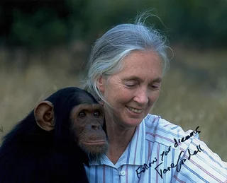 Jane Goodall autograph