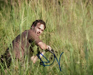 Andrew Lincoln autograph