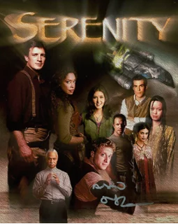 Alan Tudyk autograph