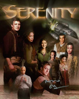 Alan Tudyk autograph