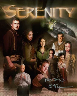 Alan Tudyk autograph