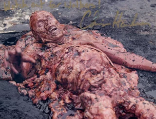 Chris Harrelson autograph