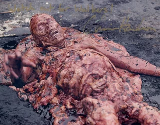 Chris Harrelson autograph