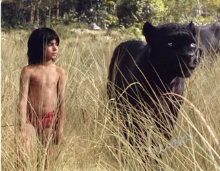 Neel Sethi autograph