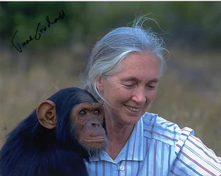 Jane Goodall autograph